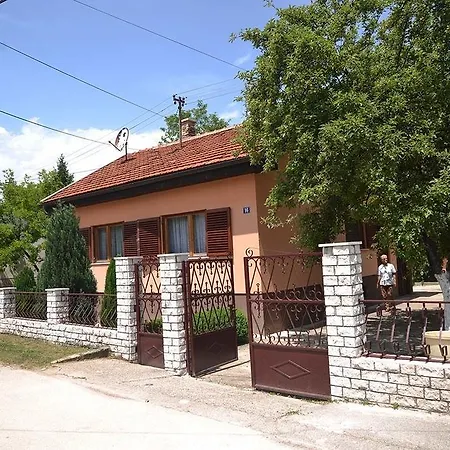 Krajinic Family House